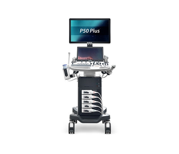 P50 Plus（秀影立声 视界不凡）