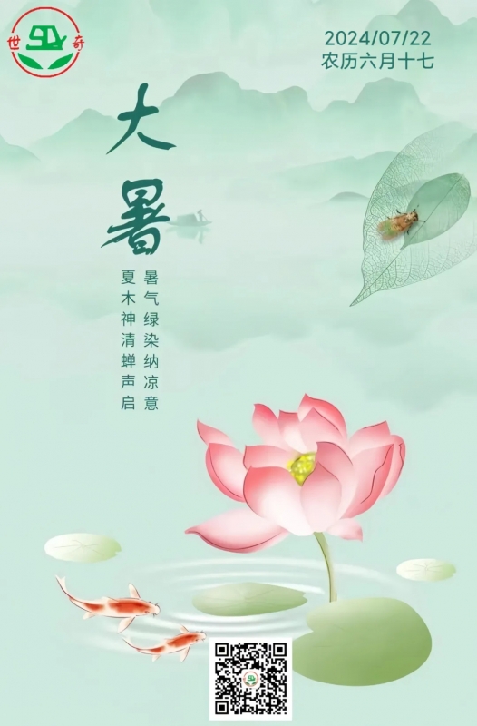 二十四节气丨大暑