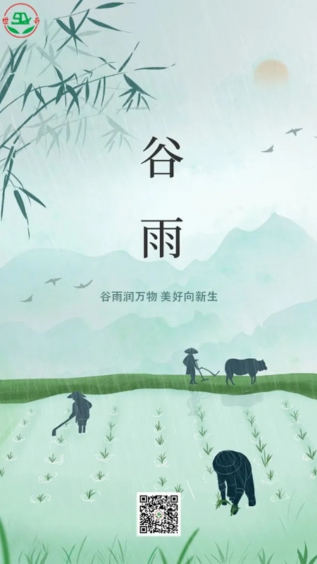 二十四节气丨谷雨