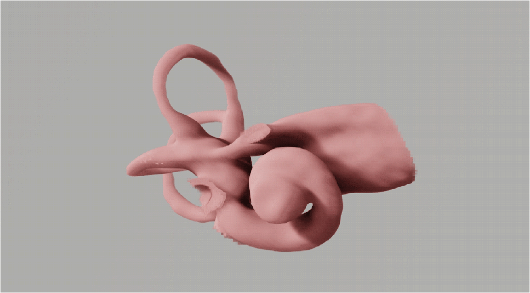 DM_20241022164930_006.gif