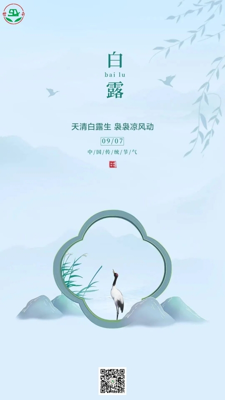 二十四节气丨白露