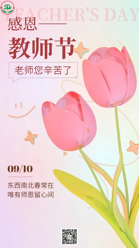 节日宣传 | 感恩有您 师恩铭记心间