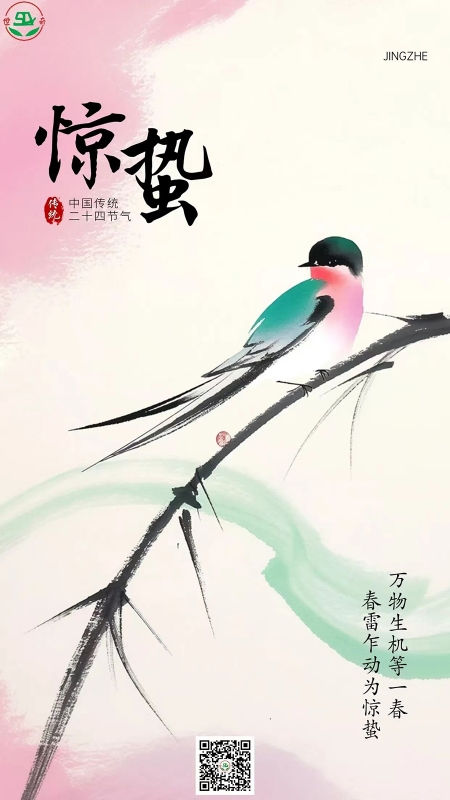 二十四节气丨惊蛰