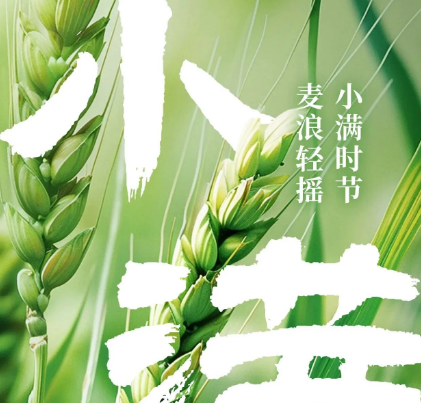 二十四节气丨小满