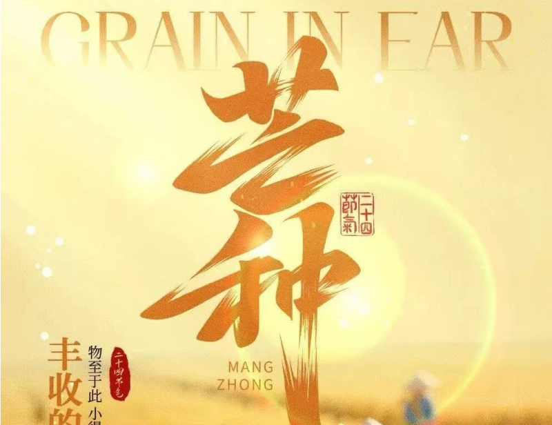 芒种丨 “芒”有所获，所愿皆“种”