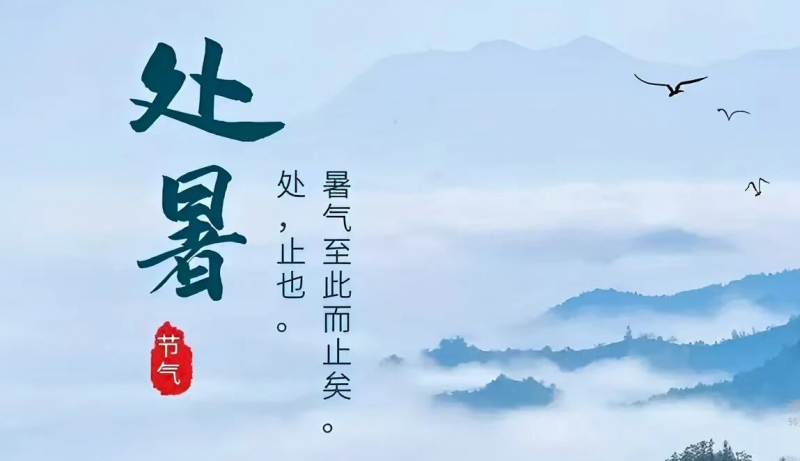 处暑 | 暑去凉来，惬意满怀