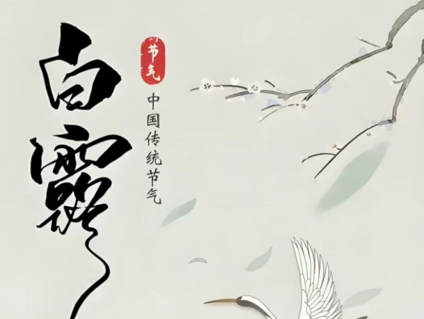 白露 | 白露凝香，岁岁安康