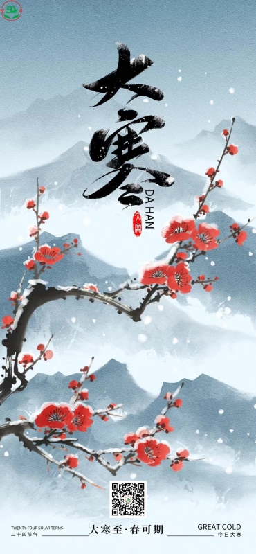 大寒 | 大寒已至 岁暖心安