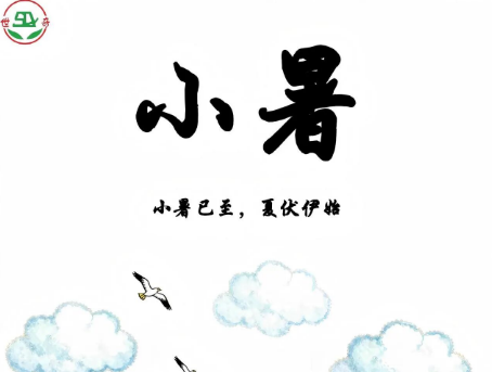 二十四节气 | 小暑